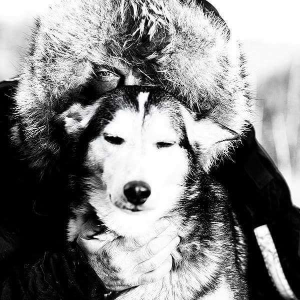 Ronnys Frydelunds hund (foto)